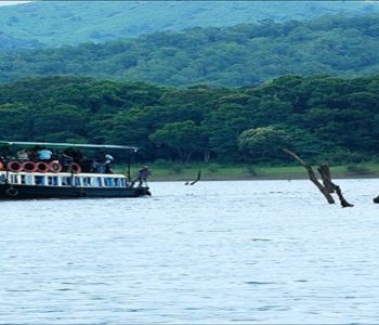 Boat-safari-on-Periyar-lake