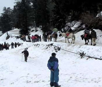 shimla