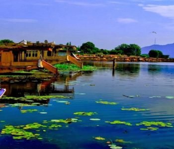 Kashmir